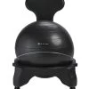 Gaiam Balance Ball Chair