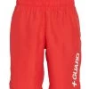 Nike Men's Lifeguard 9" Volley Short