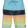 Quiksilver Men's 20" Surfsilk Panel Board Shorts